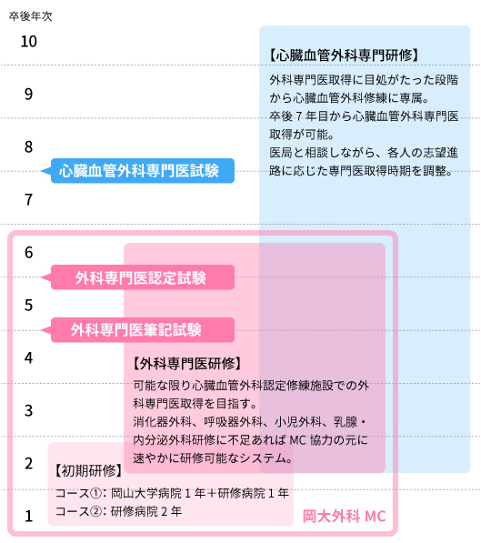 卒業年次に対応したフロー図